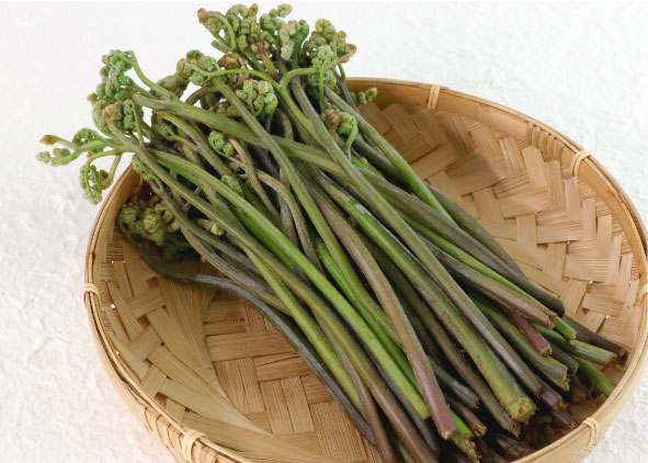 山形県産　わらび