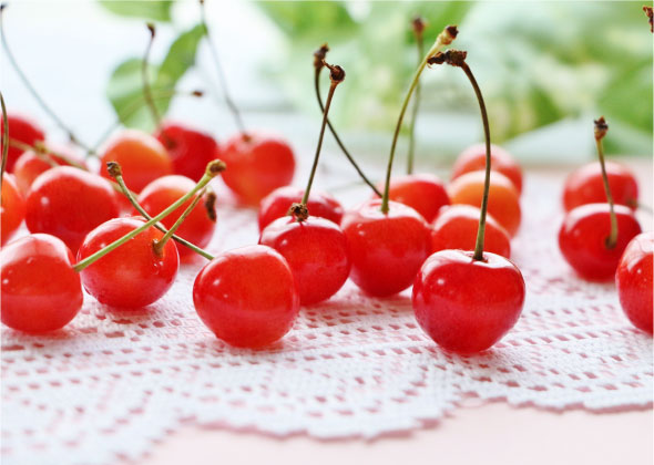 山形県産　さくらんぼ