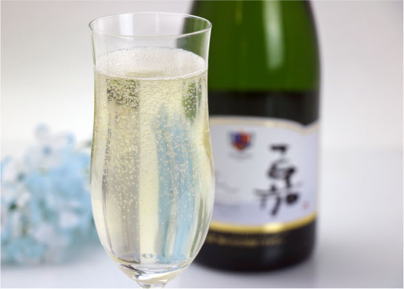 たかはたワイナリー　嘉